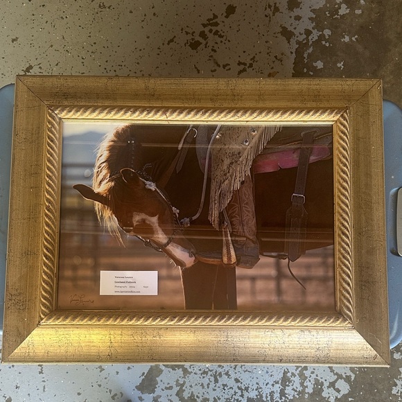 Gold Framed Horse Photography 20x14 Cowhand Pedicure